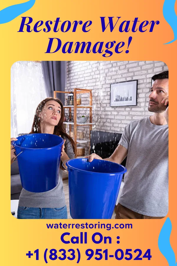 water restoration Best Water Cleanup & Associates Vergennes