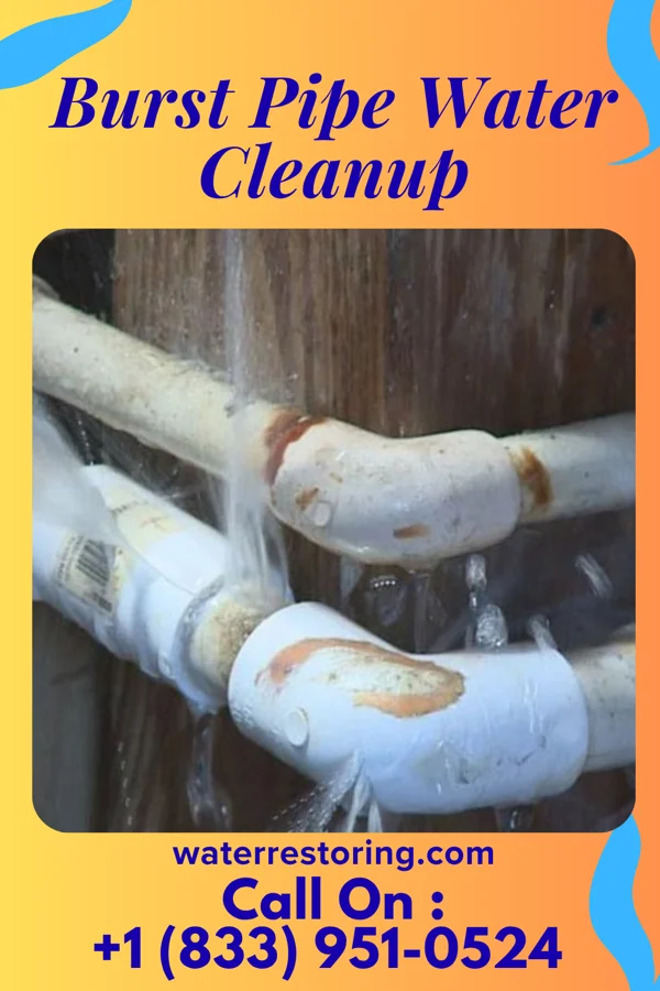 Burst Pipe Water Cleanup in Vergennes, VT