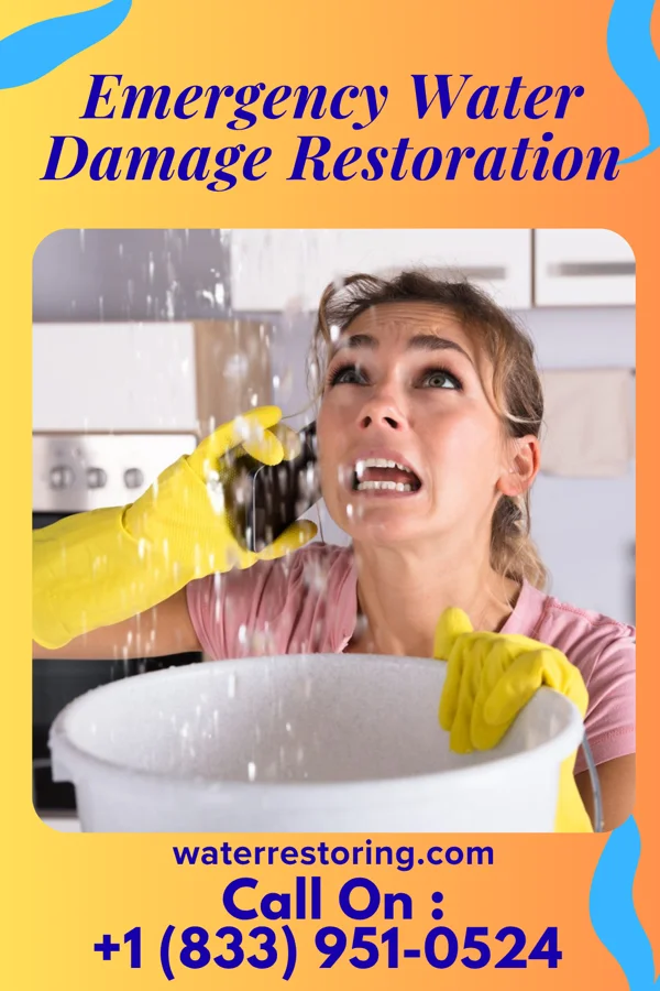 Emergency Water Damage Restoration in Vergennes, VT