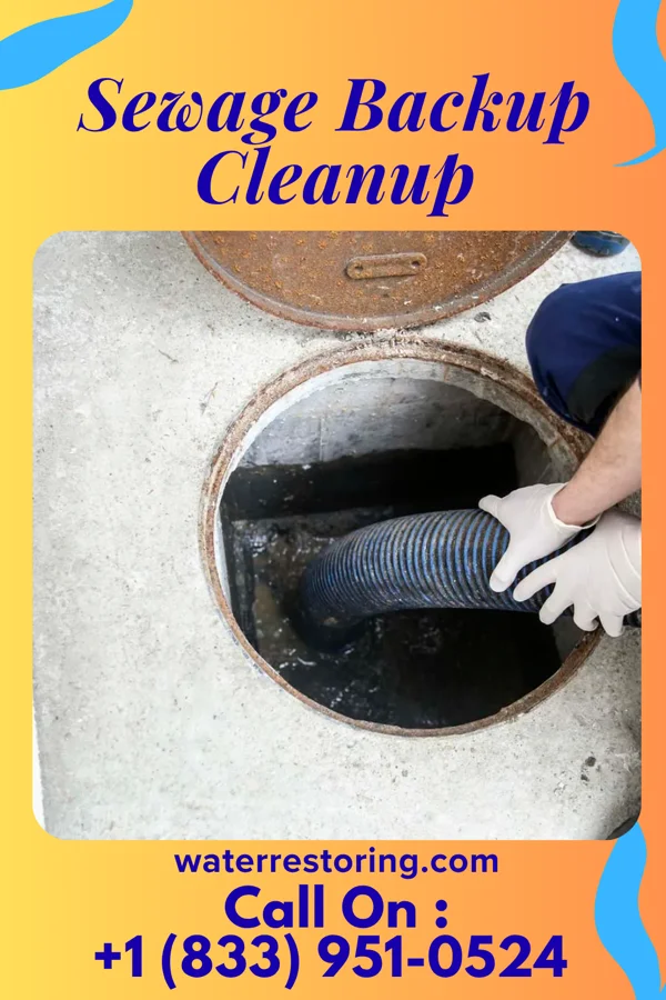 Sewage Backup Cleanup in Vergennes, VT
