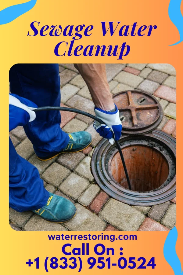 Sewage Water Cleanup in Vergennes, VT