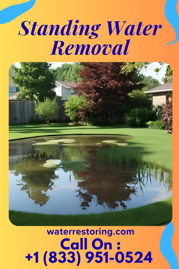 Standing Water Removal in Vergennes, VT